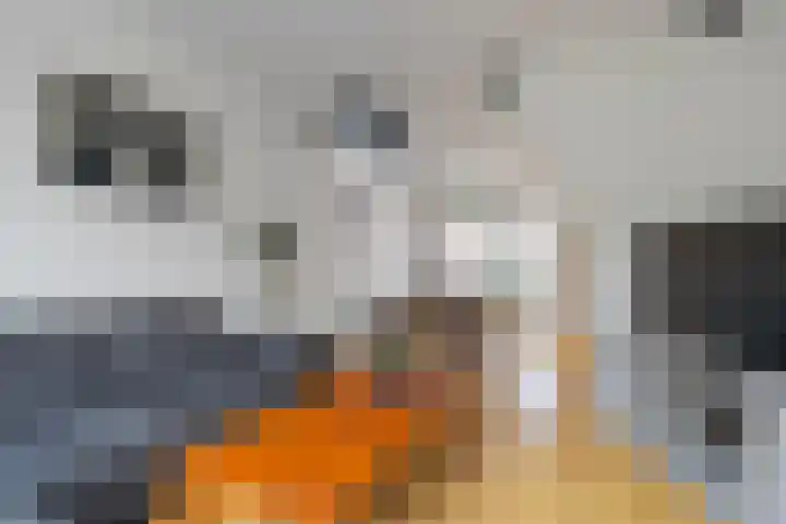 3e Emmadwarsstraat 4 Den Helder thumbnail 8