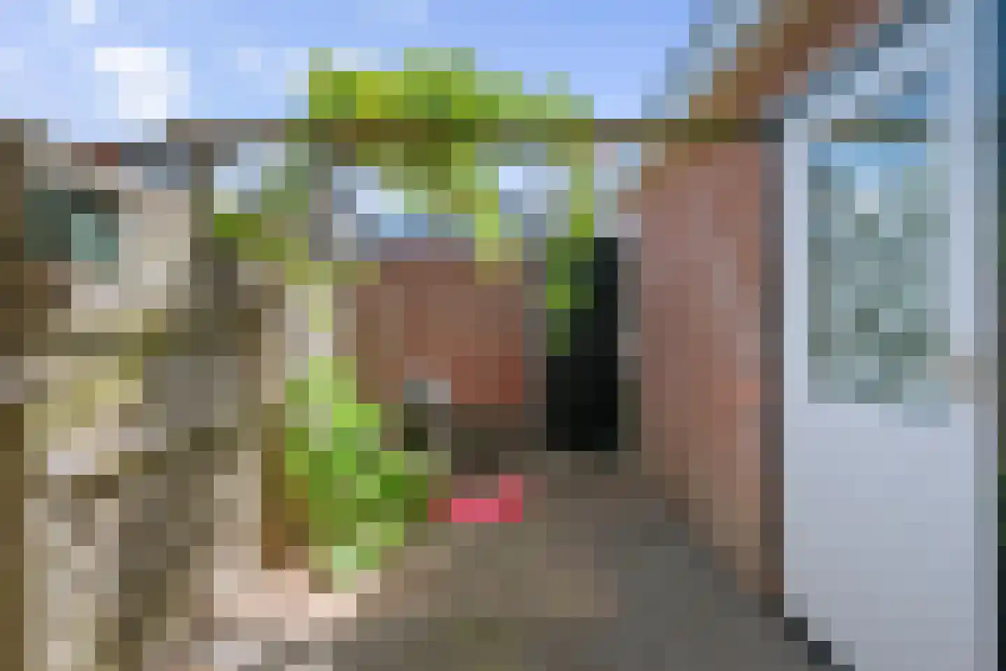 3e Emmadwarsstraat 9 Den Helder thumbnail 18