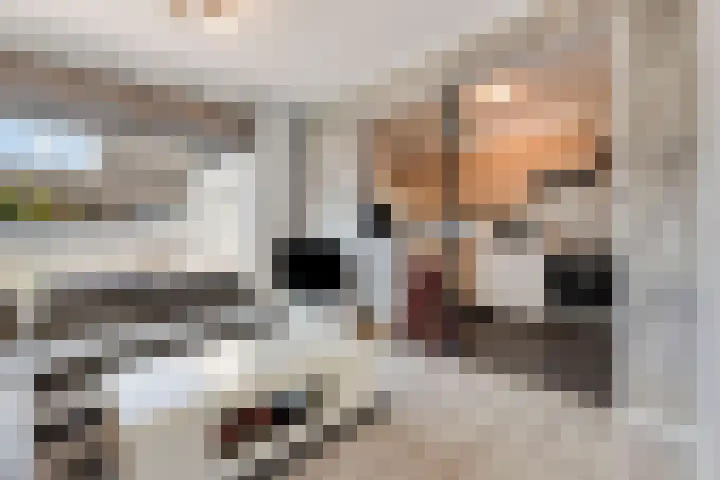 3e Haagstraat 19 Helmond thumbnail 10