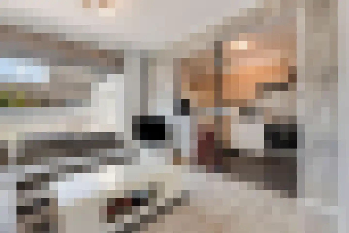 3e Haagstraat 19 Helmond thumbnail 11