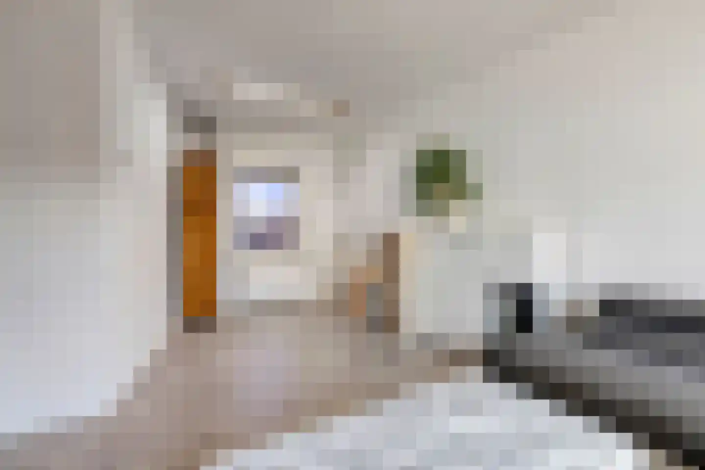3e Haagstraat 19 Helmond thumbnail 8