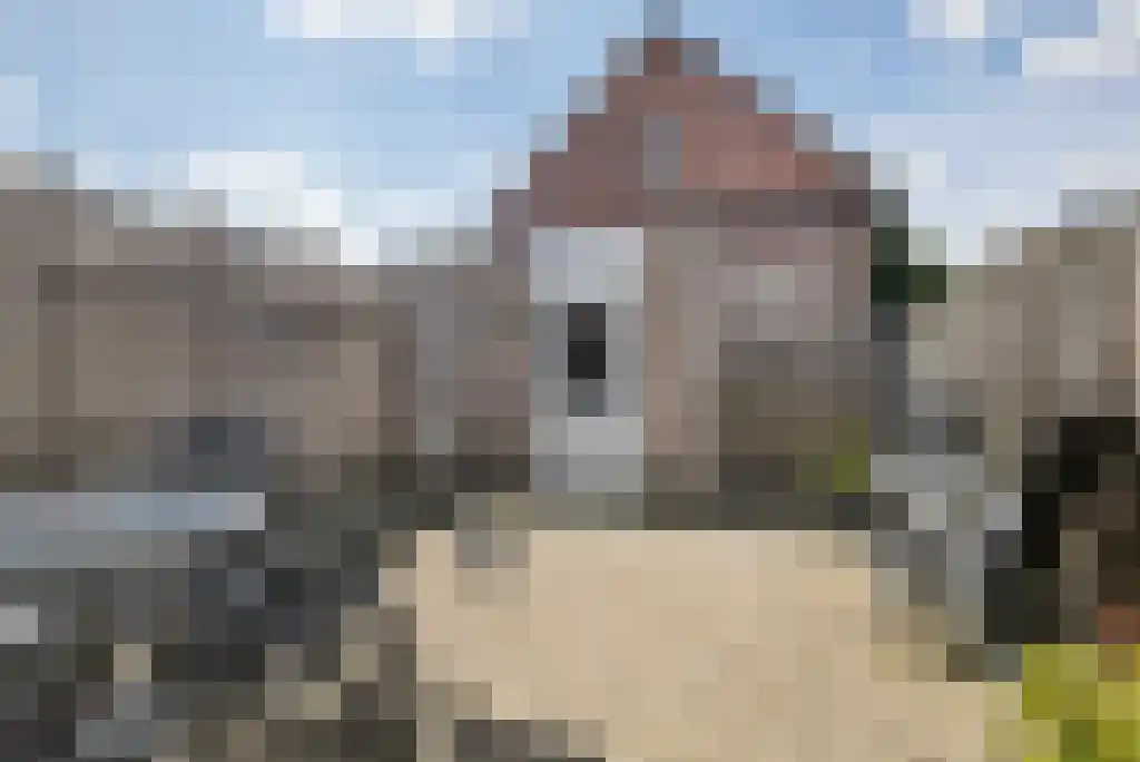 3e Haagstraat 39 D Helmond thumbnail 25