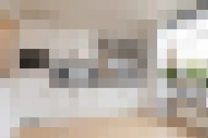 3e Hollandiastraat 4 Bolsward thumbnail 11
