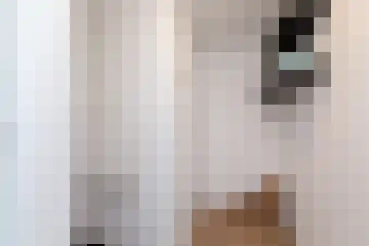3e Hollandiastraat 4 Bolsward thumbnail 21