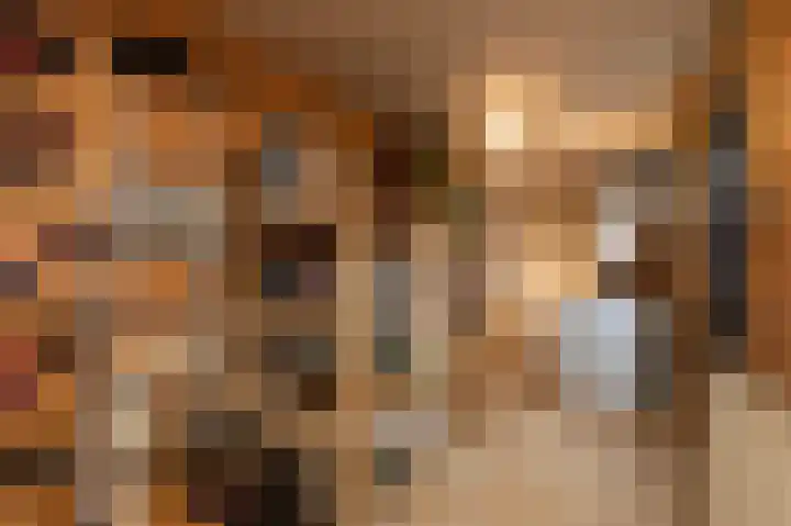 3e Hollandiastraat 4 Bolsward thumbnail 23