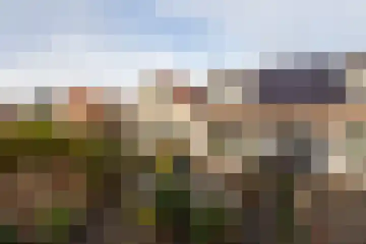 3e Hollandiastraat 4 Bolsward thumbnail 30