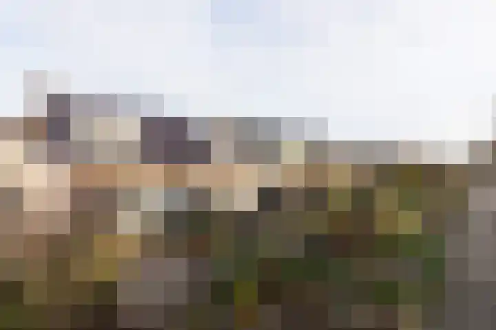 3e Hollandiastraat 4 Bolsward thumbnail 31