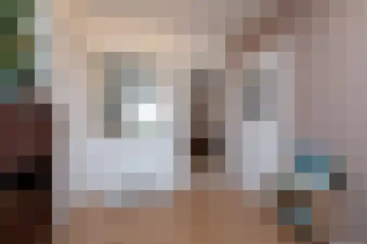 3e Hollandiastraat 4 Bolsward thumbnail 8