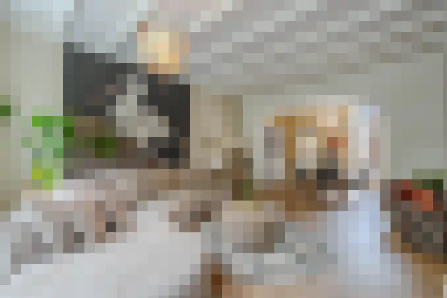 3e Hollandiastraat 8 Bolsward thumbnail 12