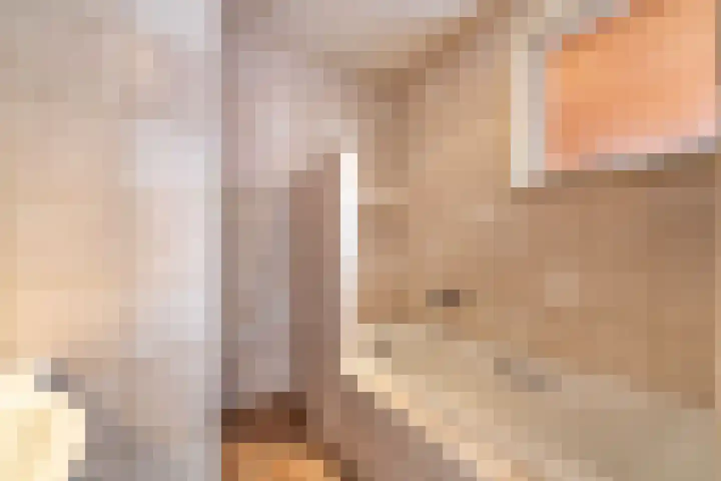 3e Hollandiastraat 8 Bolsward thumbnail 25