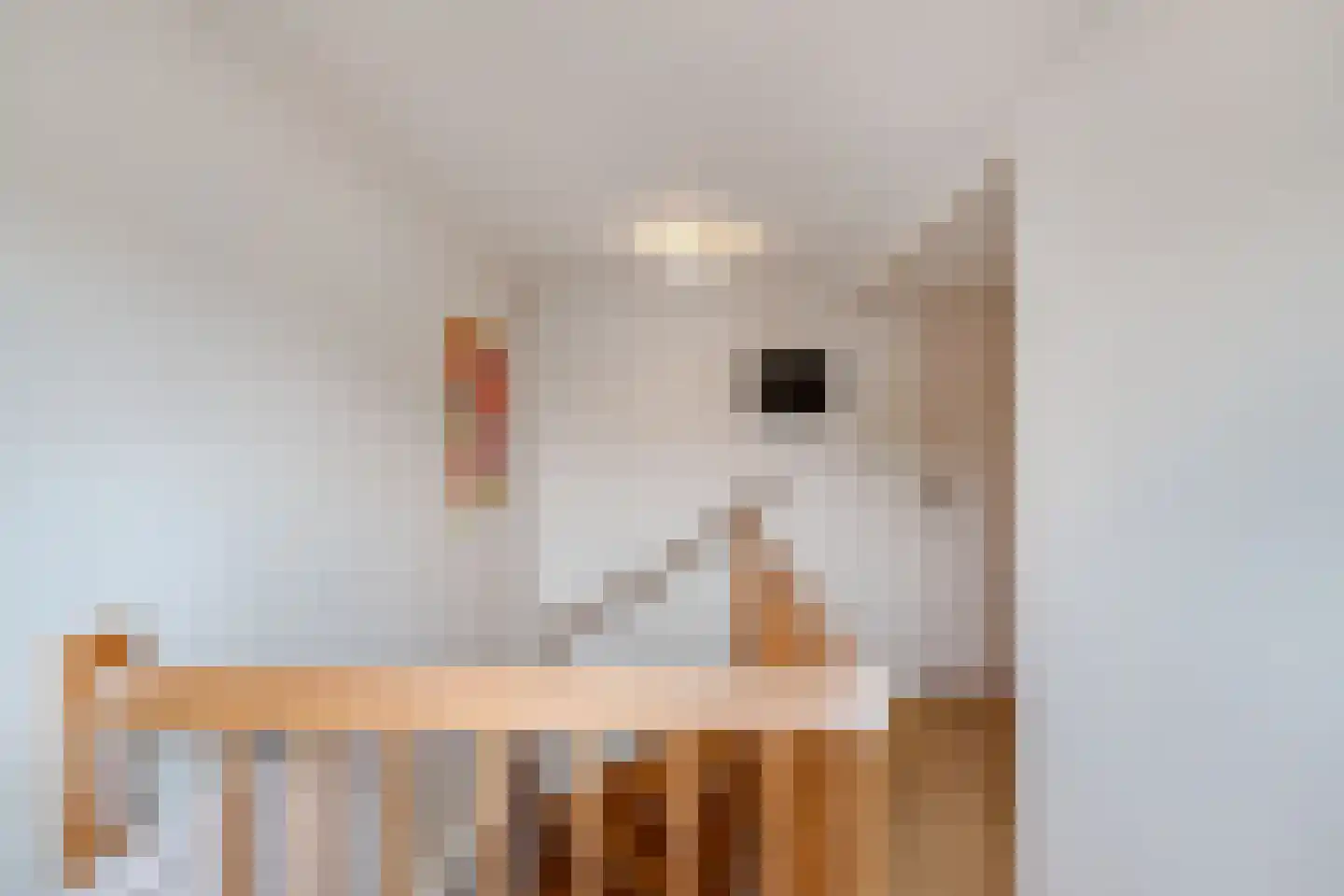 3e Hollandiastraat 8 Bolsward thumbnail 31