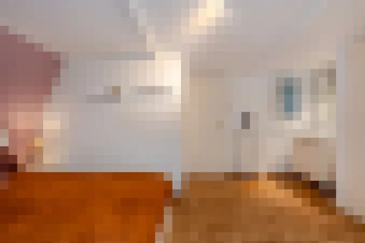 3e Hollandiastraat 8 Bolsward thumbnail 35