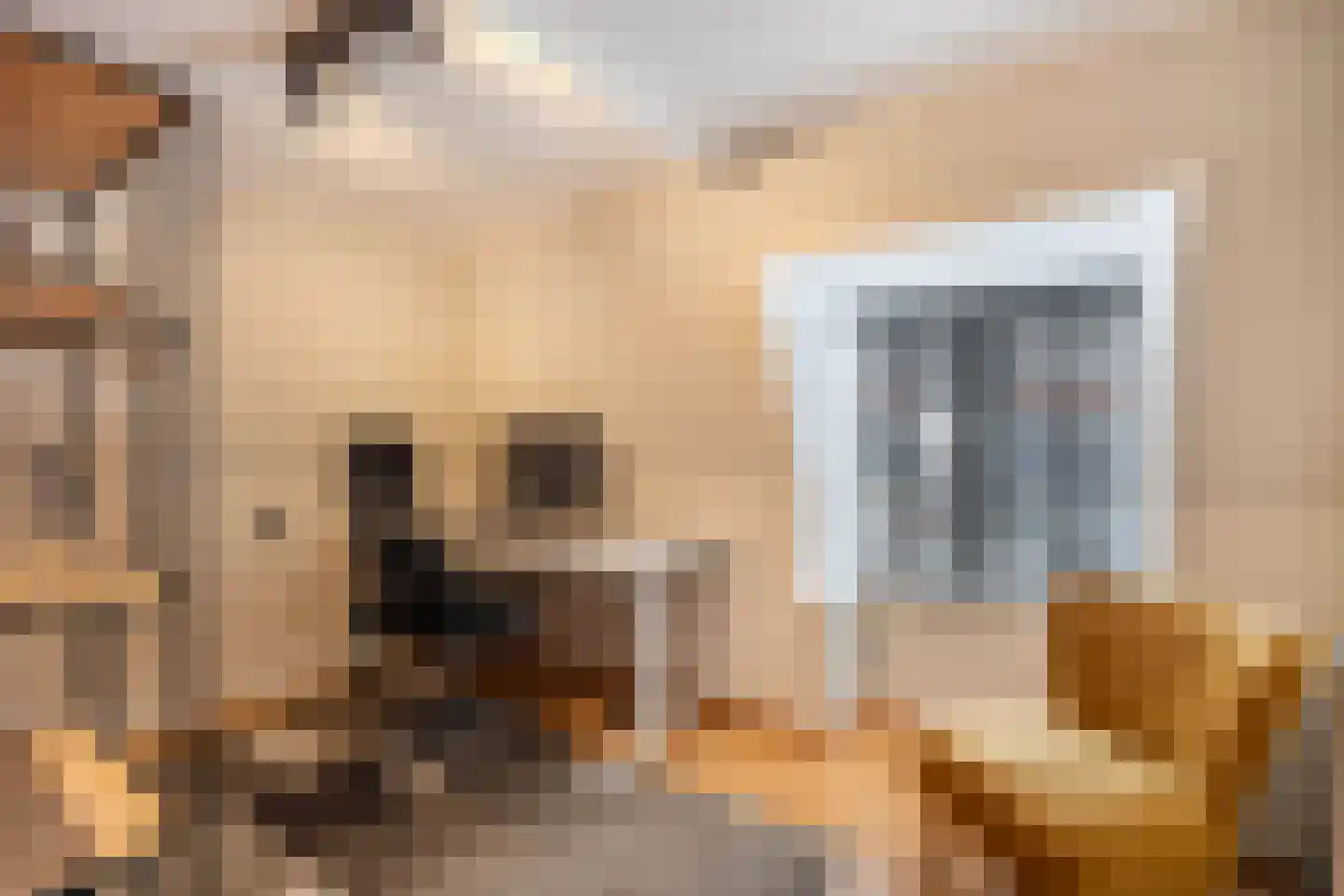 3e Hollandiastraat 8 Bolsward thumbnail 38