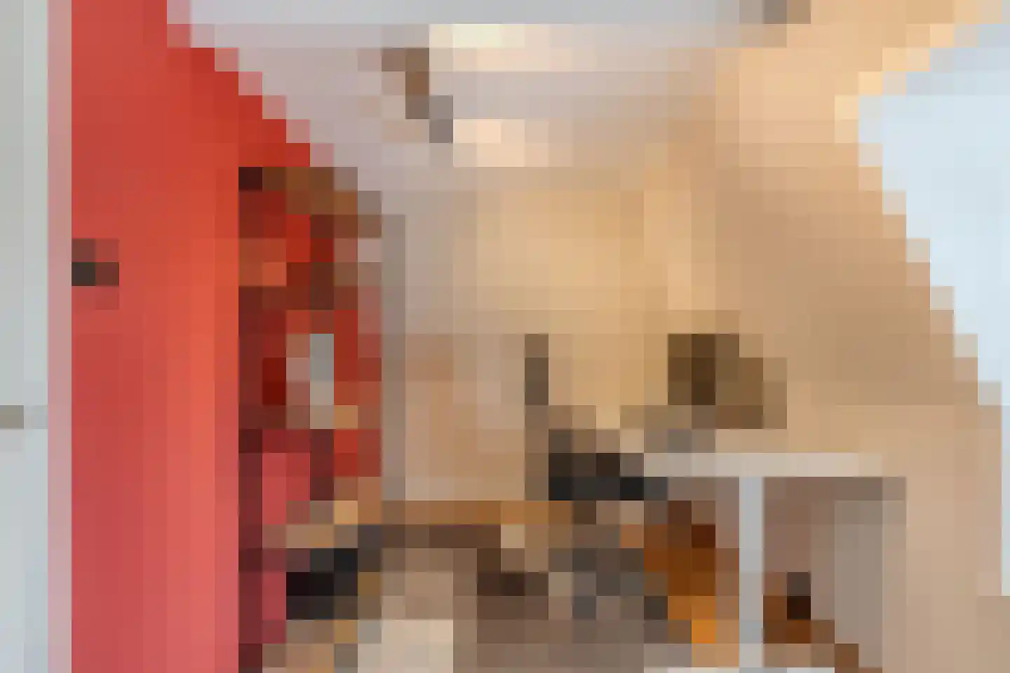 3e Hollandiastraat 8 Bolsward thumbnail 40