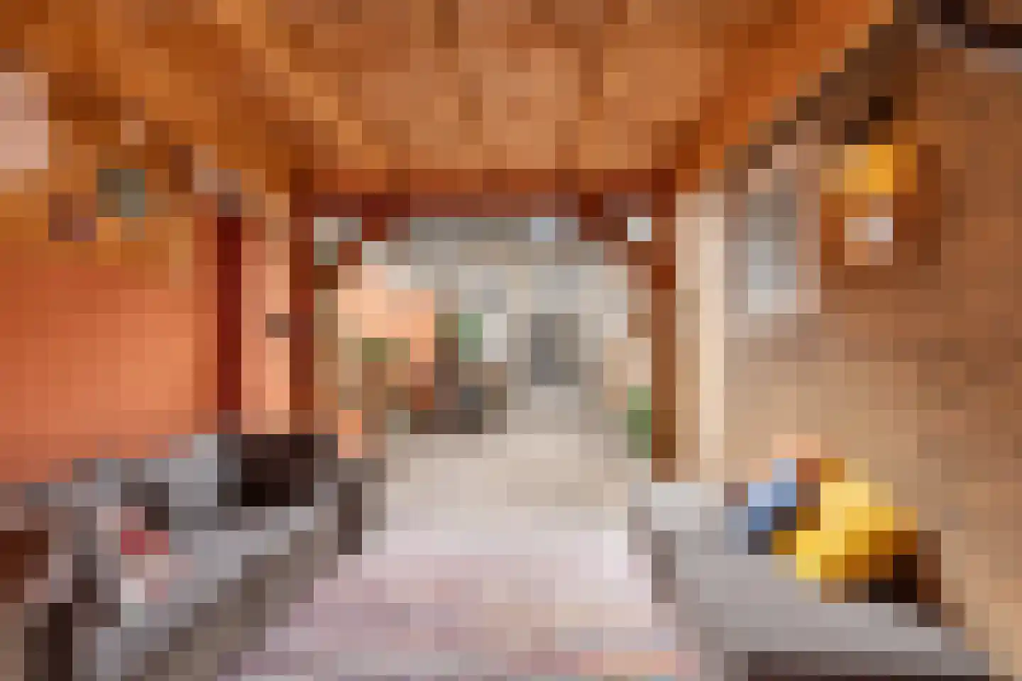 3e Hollandiastraat 8 Bolsward thumbnail 46
