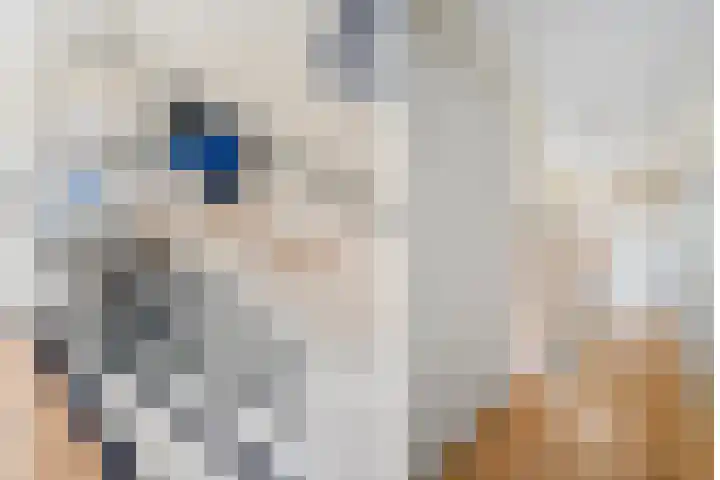 3e Honthorststraat 3 Woerden thumbnail 17