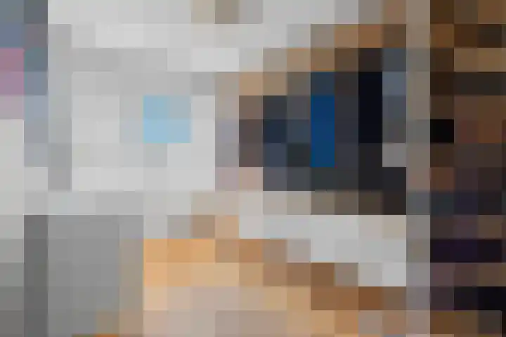 3e Honthorststraat 3 Woerden thumbnail 22