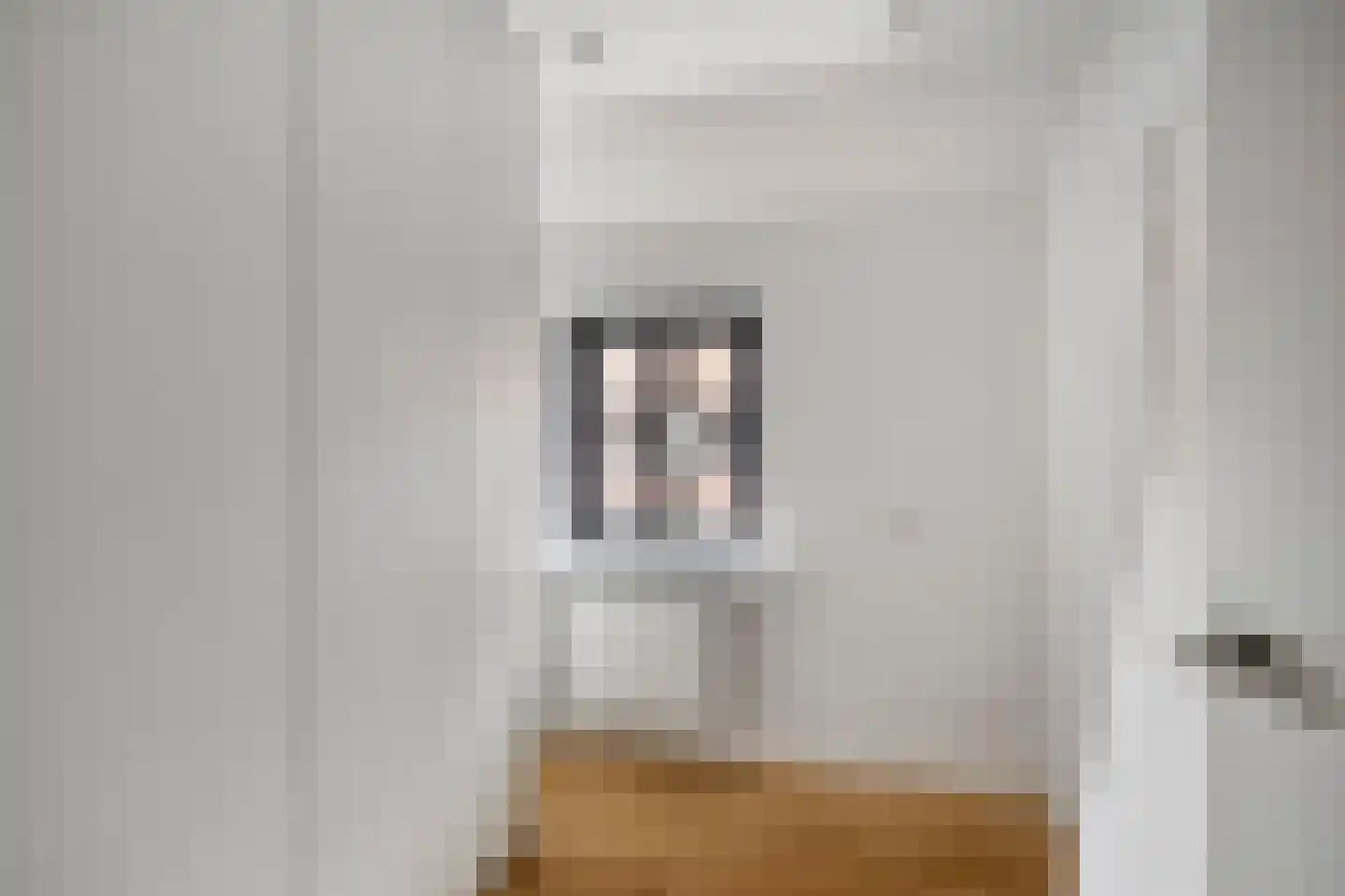 3e Honthorststraat 6 Woerden thumbnail 16