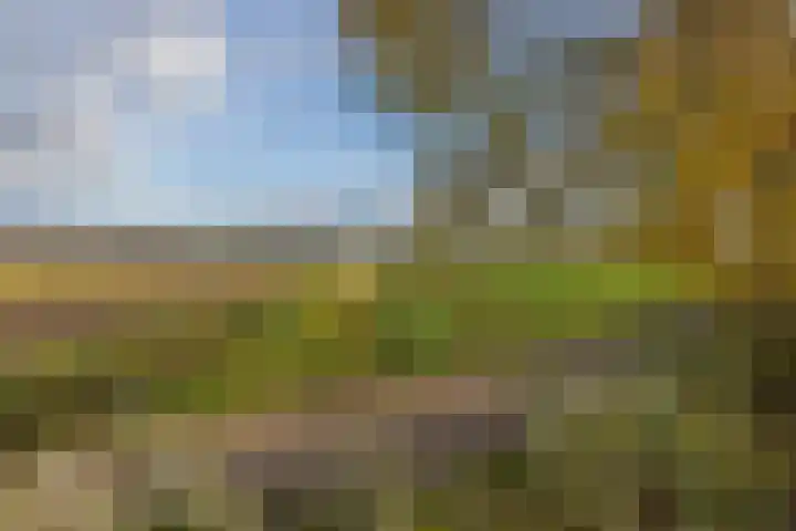 3e Loosterweg 50 A Hillegom thumbnail 23