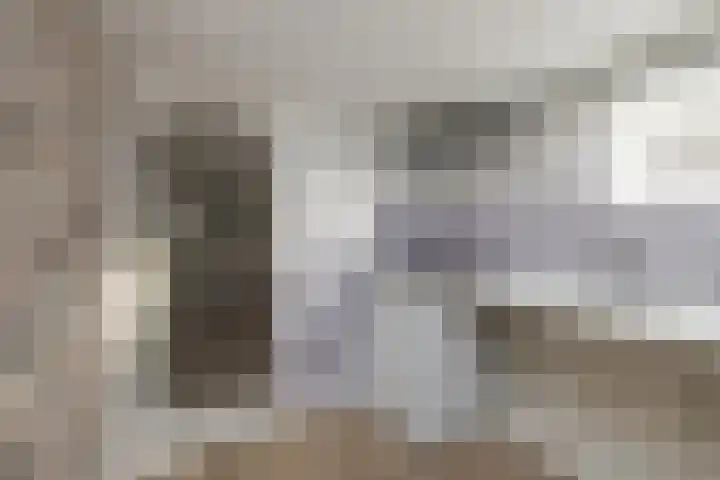 3e Loosterweg 50 A Hillegom thumbnail 9