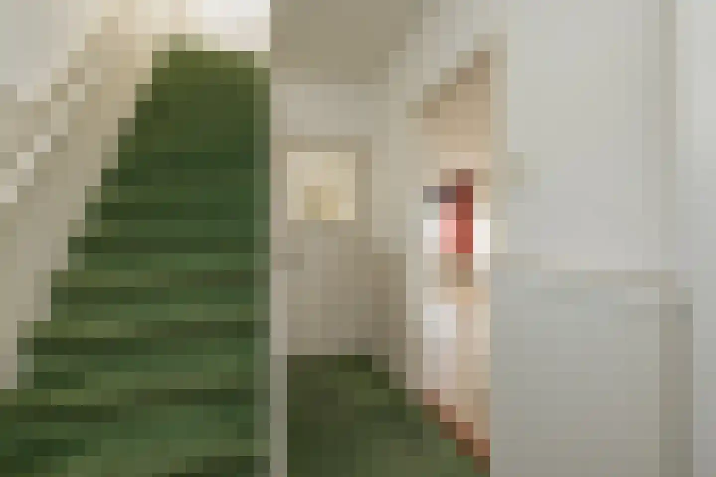 3e Loosterweg 50 Hillegom thumbnail 14