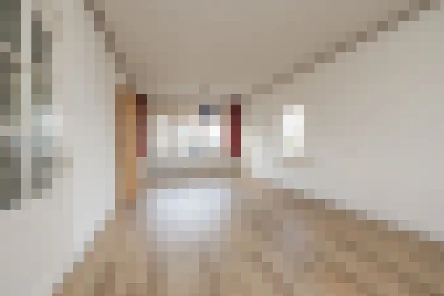 3e Loosterweg 50 Hillegom thumbnail 6