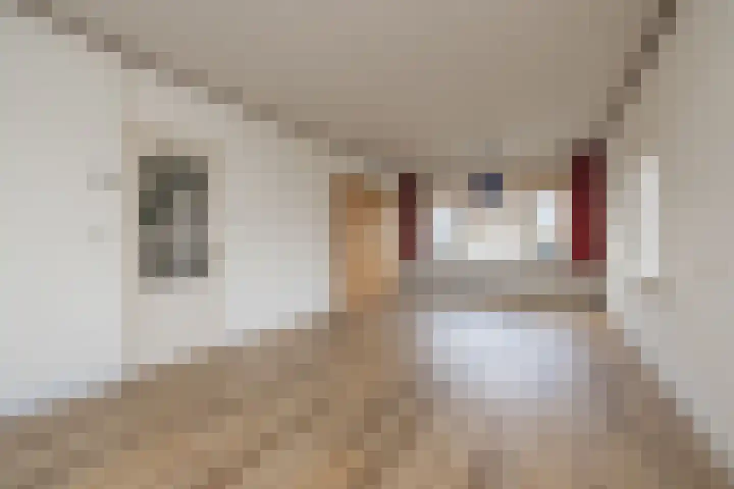 3e Loosterweg 50 Hillegom thumbnail 7