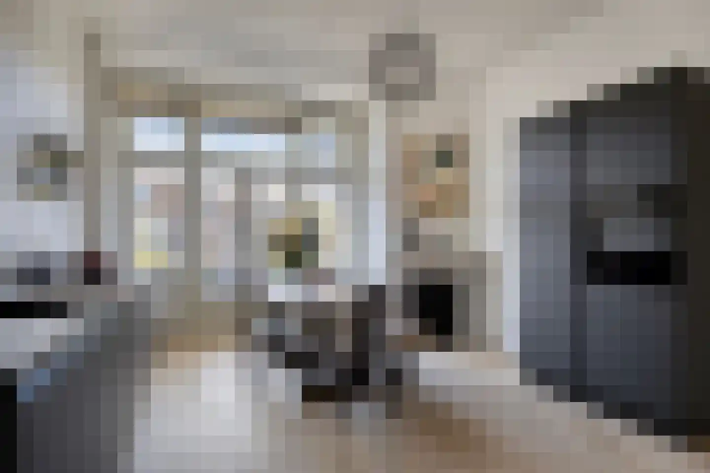 3e Louise de Colignystraat 149 A Den Haag thumbnail 14