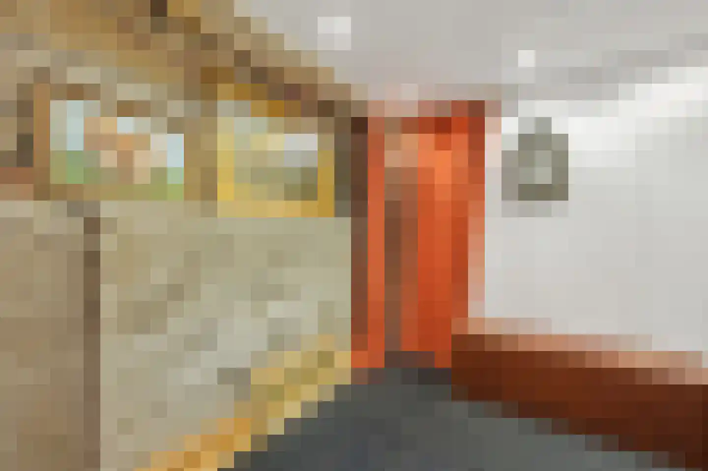 3e Louise de Colignystraat 152 Den Haag thumbnail 30
