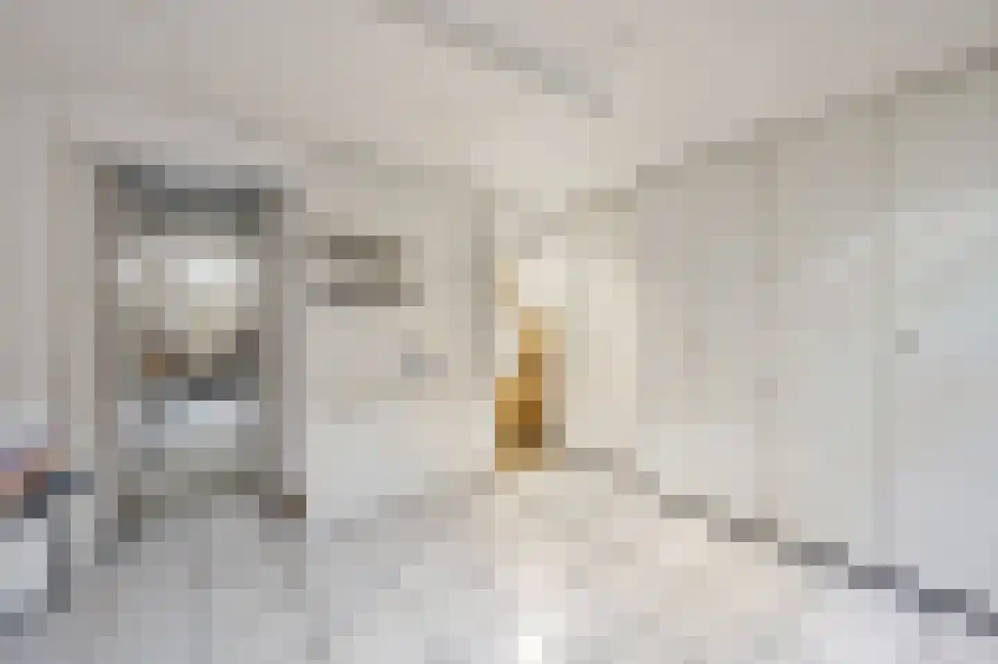 3e Louise de Colignystraat 152 Den Haag thumbnail 32