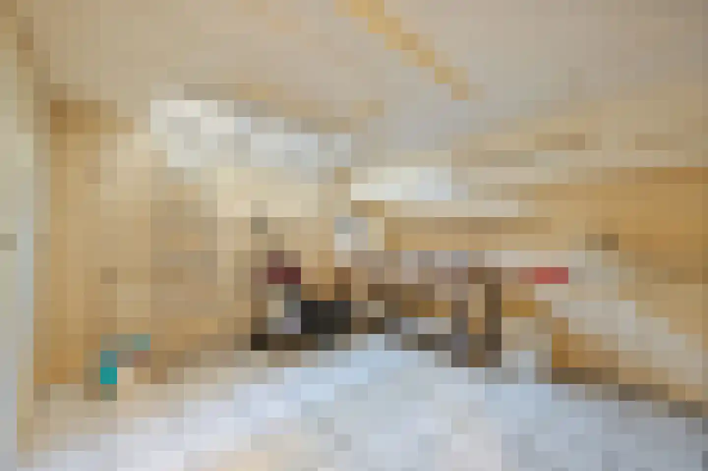 3e Louise de Colignystraat 152 Den Haag thumbnail 33