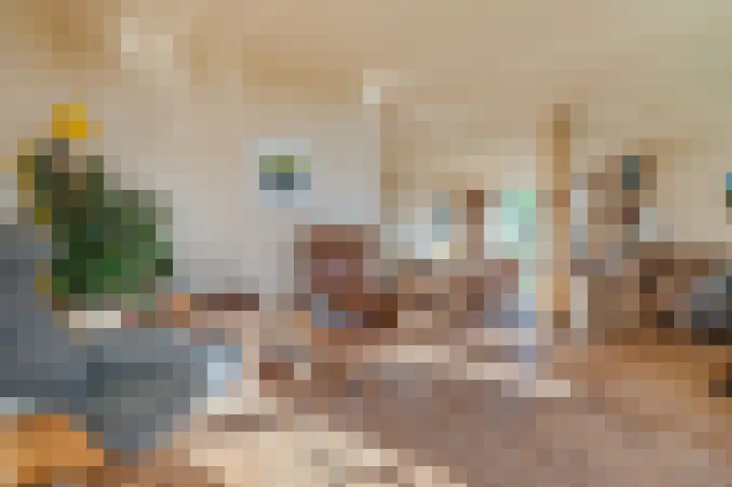 3e Oomsberg 28 Vledderveen thumbnail 14