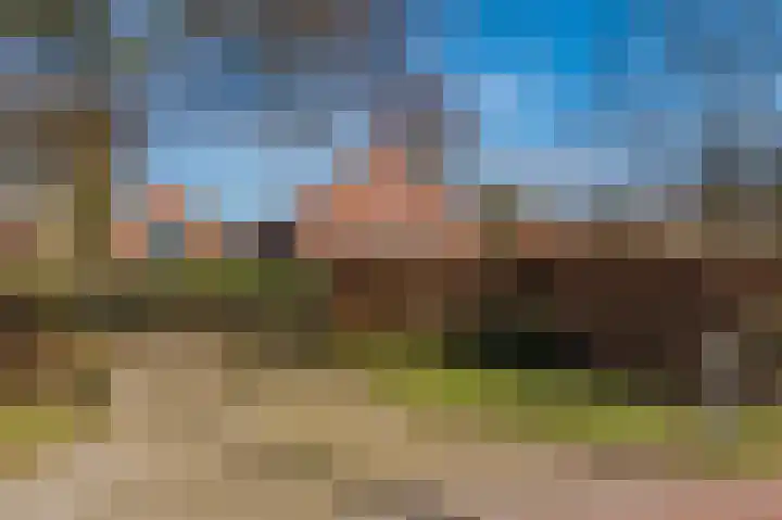 3e Oomsberg 28 Vledderveen thumbnail 4