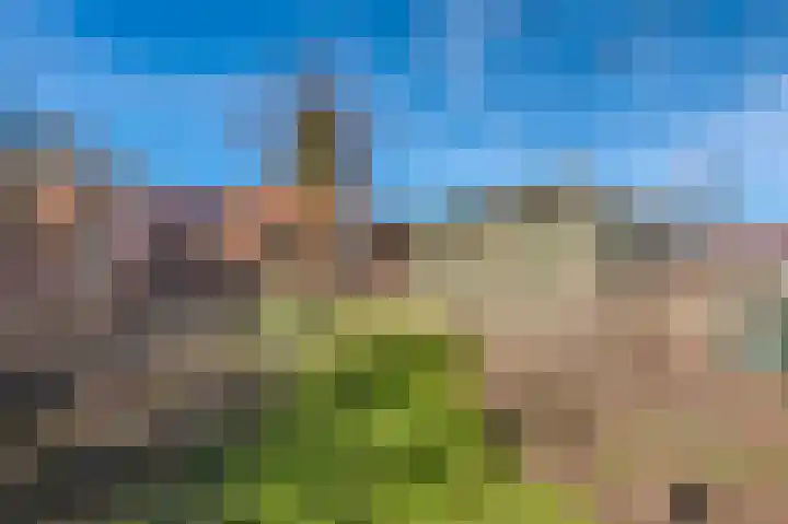 3e Oomsberg 28 Vledderveen thumbnail 45
