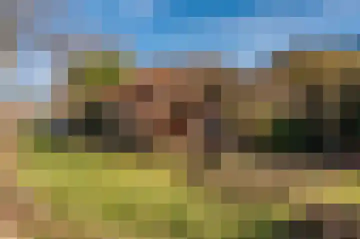 3e Oomsberg 28 Vledderveen thumbnail 49