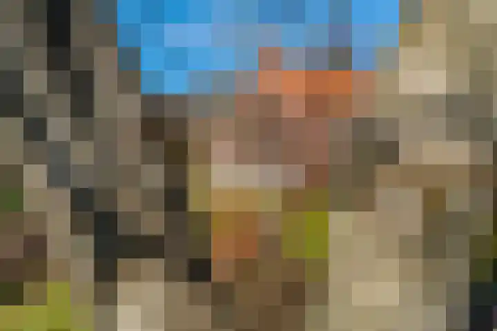 3e Oomsberg 28 Vledderveen thumbnail 5