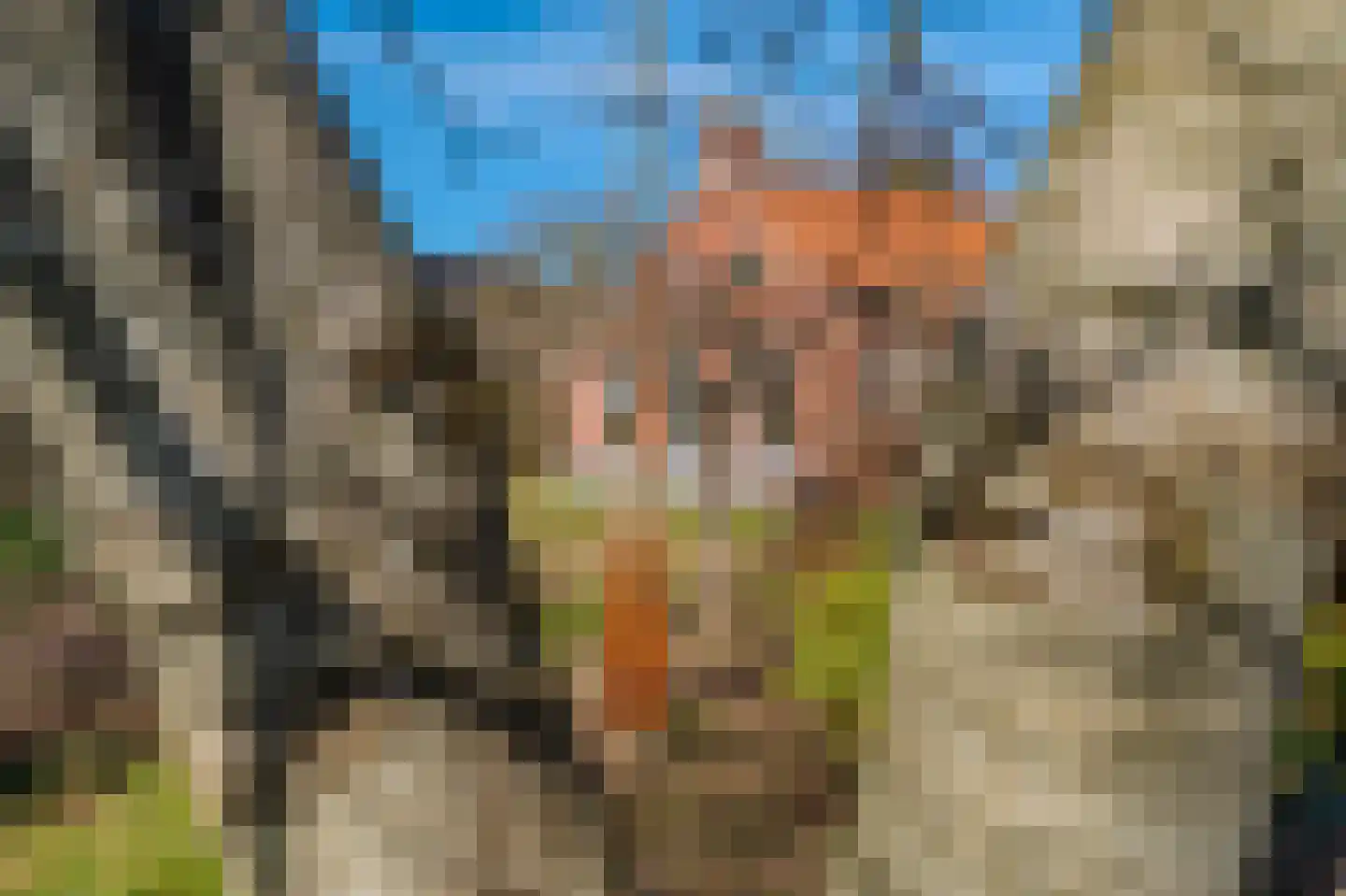 3e Oomsberg 28 Vledderveen thumbnail 5