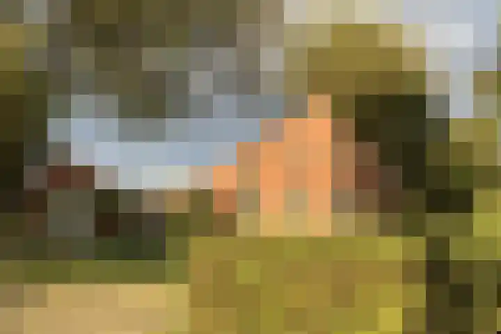3e Oomsberg 28 Vledderveen thumbnail 57