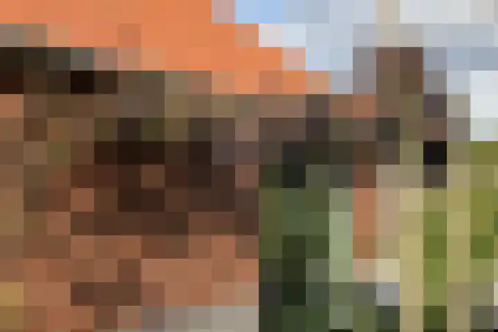 3e Oomsberg 28 Vledderveen thumbnail 58
