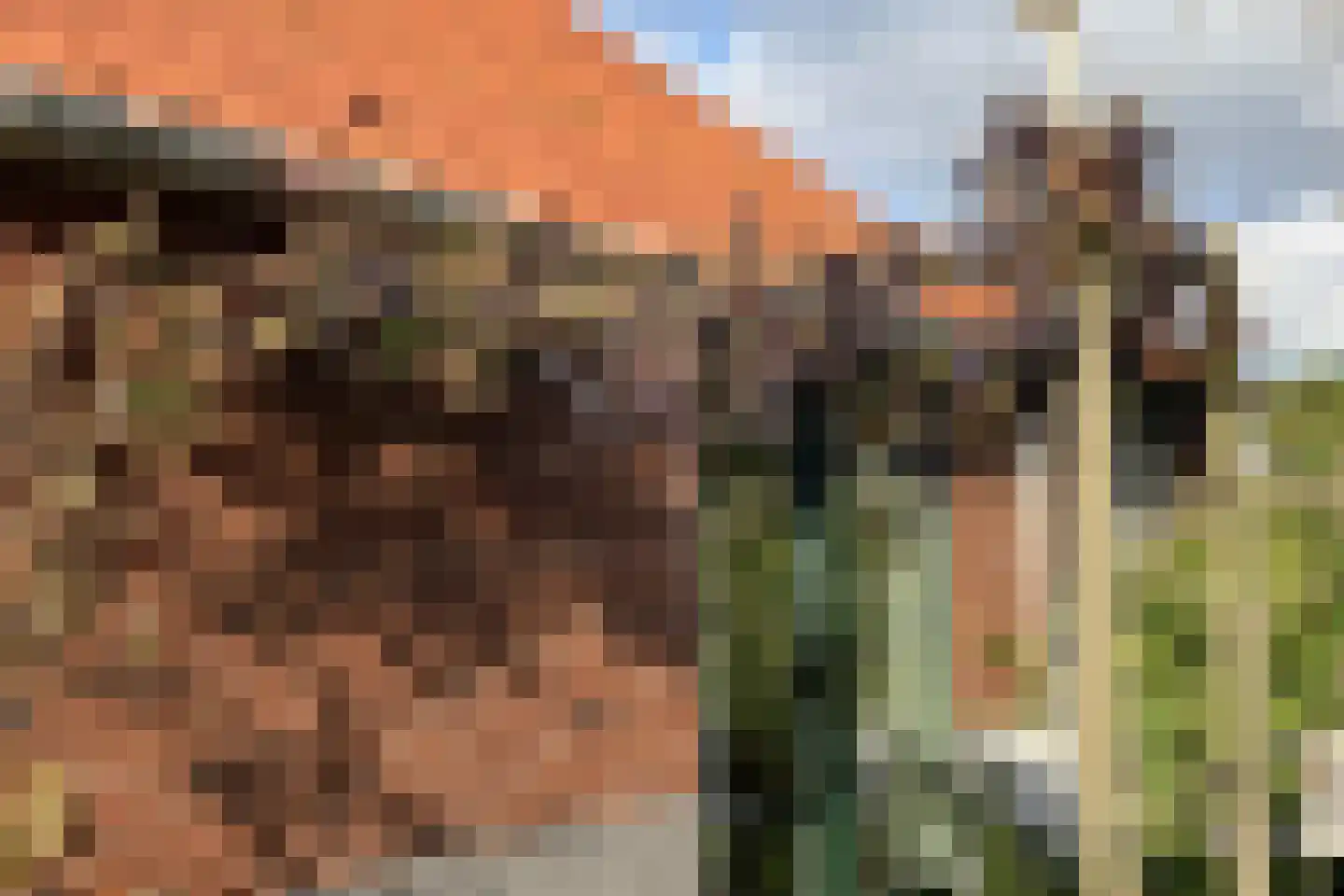 3e Oomsberg 28 Vledderveen thumbnail 58