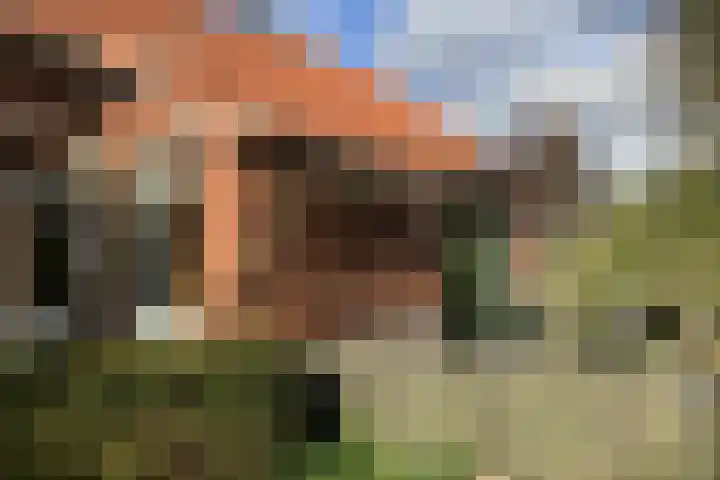 3e Oomsberg 28 Vledderveen thumbnail 59