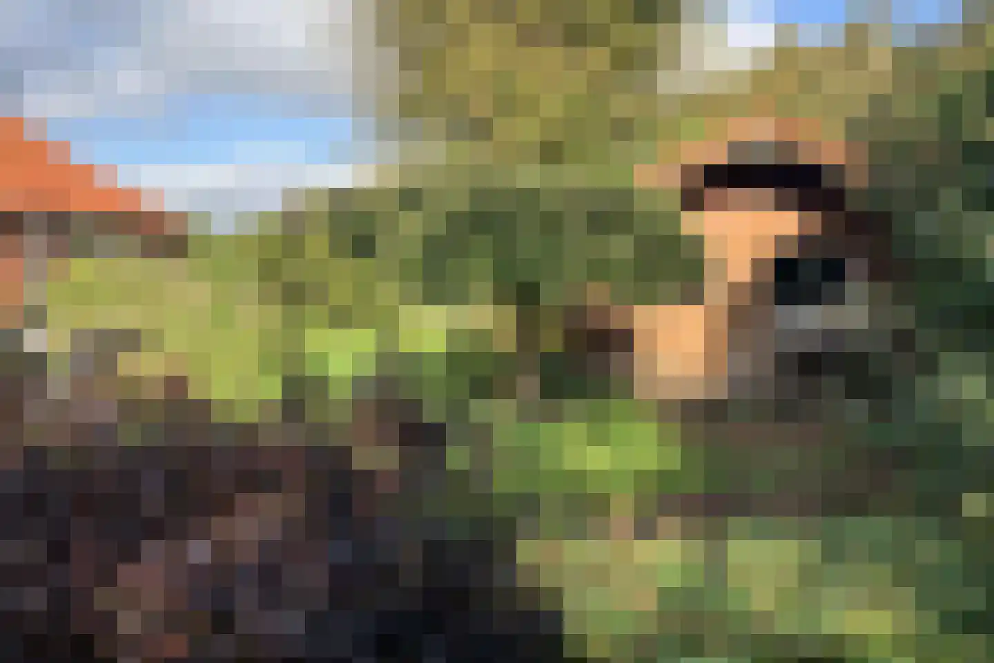 3e Oomsberg 28 Vledderveen thumbnail 60