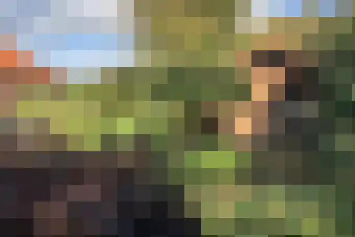 3e Oomsberg 28 Vledderveen thumbnail 60