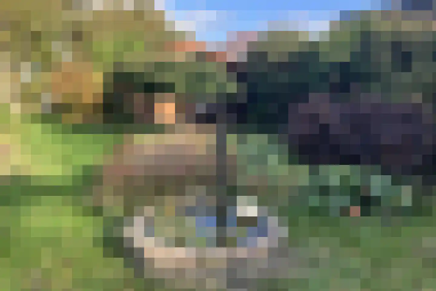 3e Oomsberg 28 Vledderveen thumbnail 61