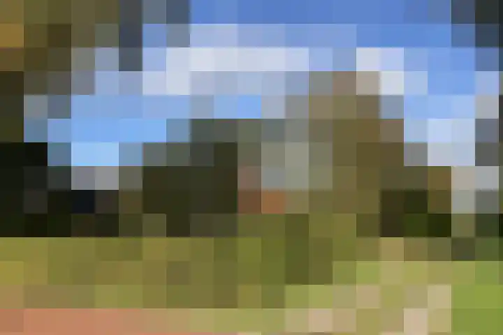 3e Oomsberg 28 Vledderveen thumbnail 62