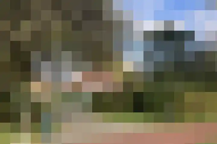 3e Oomsberg 28 Vledderveen thumbnail 63