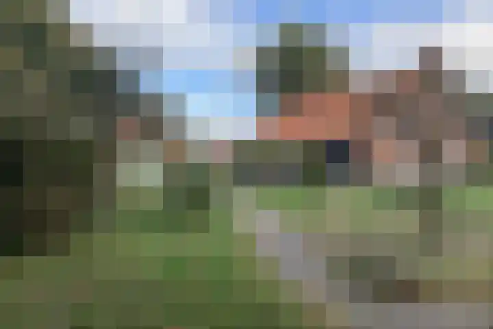 3e Oomsberg 28 Vledderveen thumbnail 64