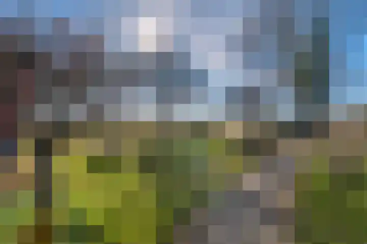3e Oomsberg 28 Vledderveen thumbnail 7