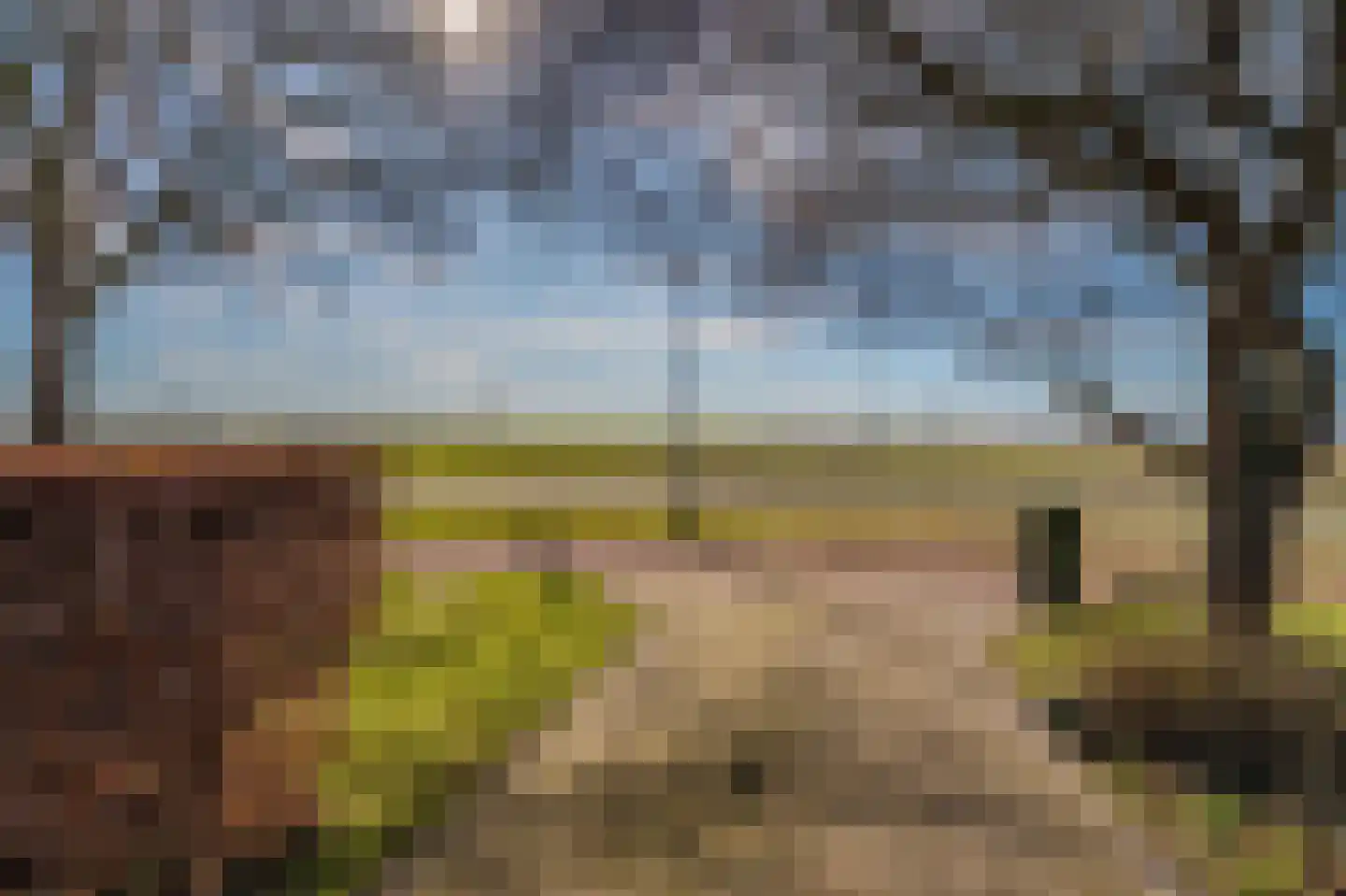 3e Oomsberg 28 Vledderveen thumbnail 8