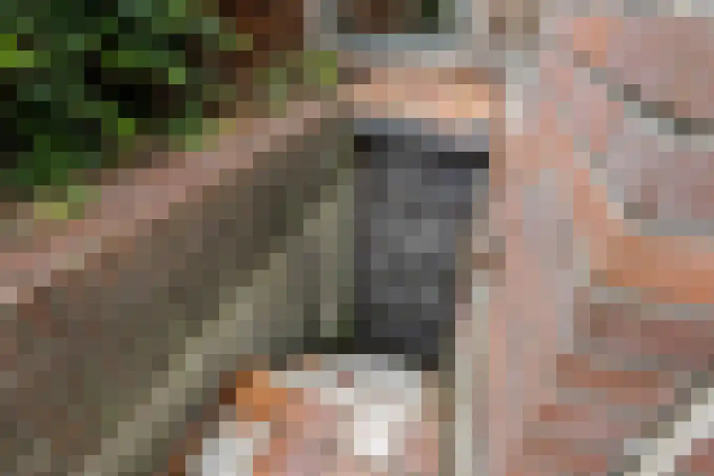 3e Oosterstraat 3 Hilversum thumbnail 27